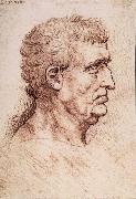 LEONARDO da Vinci, Profile of a man
